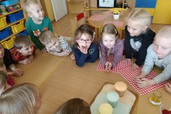 IMG_20230427_094352