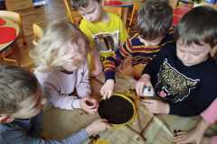 IMG-20250326-WA0002