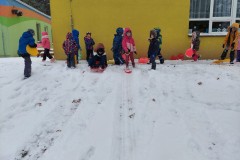 Čmeláci na sněhu