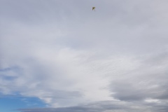 20201007_101442