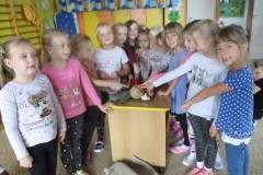 IMG_1586