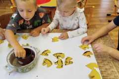 IMG-20251110-WA0014