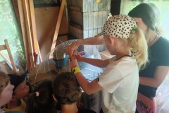 IMG-20250628-WA0013