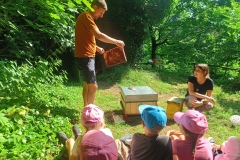 IMG-20250628-WA0052
