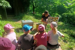 IMG-20250628-WA0054