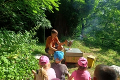 IMG-20250628-WA0056