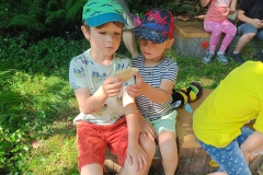 IMG-20250628-WA0066