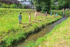 IMG-20250628-WA0082