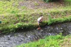 IMG-20250628-WA0084