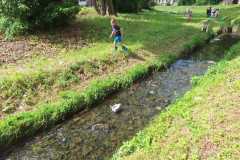 IMG-20250628-WA0085