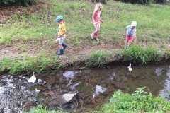 IMG-20250628-WA0086