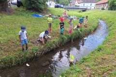IMG-20250628-WA0087