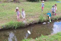 IMG-20250628-WA0104