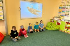 IMG-20240307-WA0001