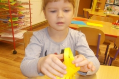 DSCN2135