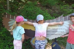IMG-20210604-WA0012