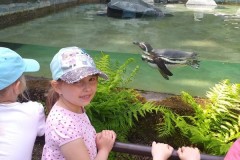 IMG-20210604-WA0017