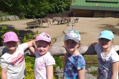 IMG-20210604-WA0026