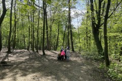 Photo-03.05.2023-10-39-04