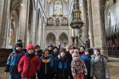 IMG_20260212_104447