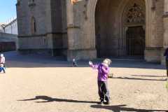 IMG-20241017-WA0004
