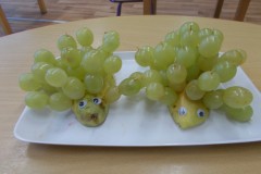 DSCN4051
