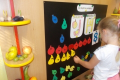 DSCN1343