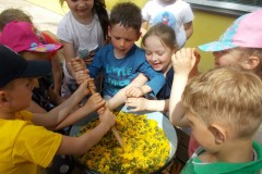 DSCN3162