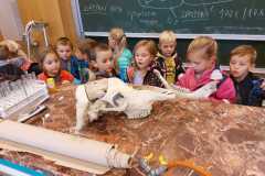 IMG-20220927-WA0007