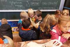 IMG-20220927-WA0008