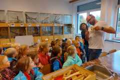 IMG-20220927-WA0016