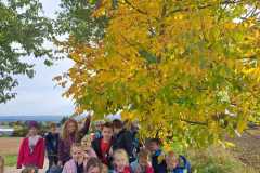 IMG-20221008-WA0001