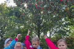 IMG-20221008-WA0007