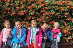 IMG-20221008-WA0012