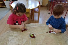 IMG_20221114_081138