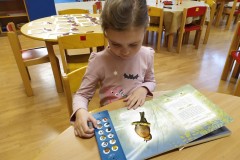 IMG_20221115_073529