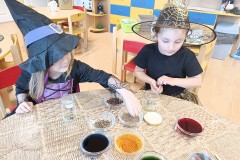IMG_20250429_075329
