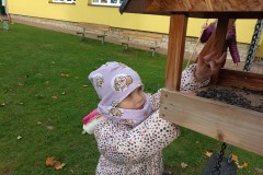 IMG_20231114_102250
