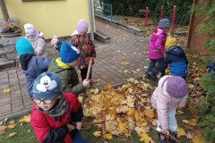 IMG_20231114_102333