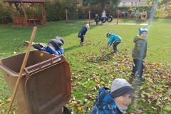 IMG_20231114_102915