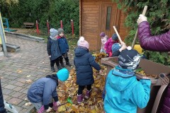 IMG_20231114_104410