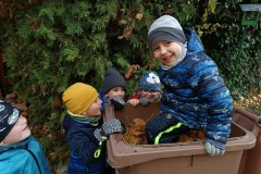IMG_20231114_104652