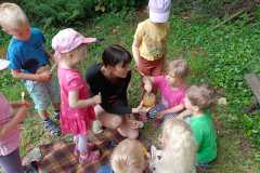 IMG-20230619-WA0000