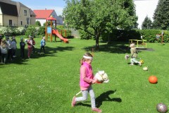 IMG_8098
