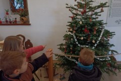 IMG_20251209_092627