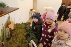 IMG_20231212_103435