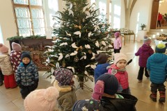 IMG_20231212_103615