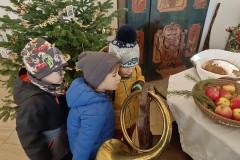 IMG_20231212_103816