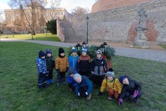 IMG_20231212_110555