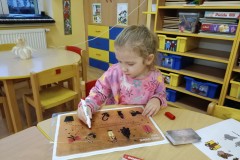 IMG_20231215_080743